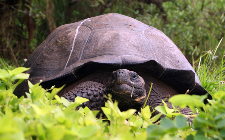 AP_328394919933 AP_328394919933