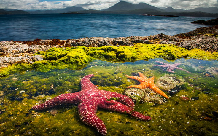 COSMOTETVBBCEarthBluePlanet4 COSMOTETVBBCEarthBluePlanet4