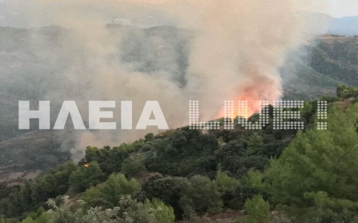 Μαίνεται η πυρκαγιά στη Νεμούτα Ηλείας