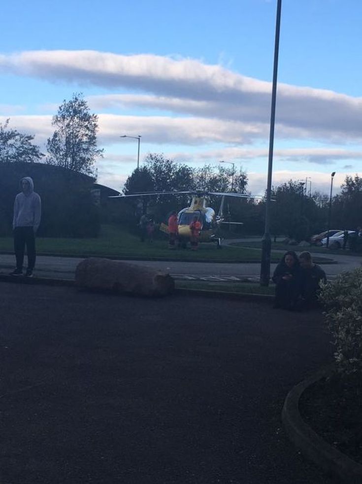 WhatsApp-Image-2017-10-22-at-163518jpeg WhatsApp-Image-2017-10-22-at-163518jpeg