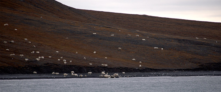 arkkdoouudusfgrgfdf2 arkkdoouudusfgrgfdf2