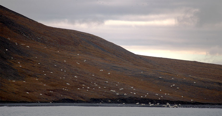 arkkdoouudusfgrgfdf3 arkkdoouudusfgrgfdf3