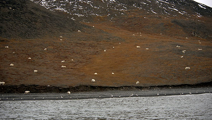 arkkdoouudusfgrgfdf4 arkkdoouudusfgrgfdf4