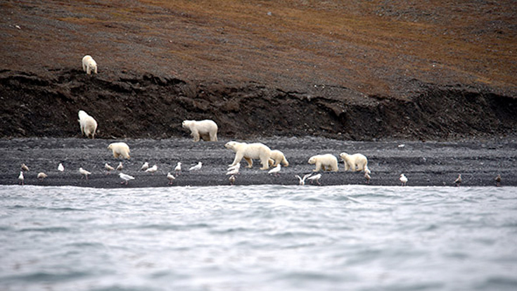 arkkdoouudusfgrgfdf5 arkkdoouudusfgrgfdf5