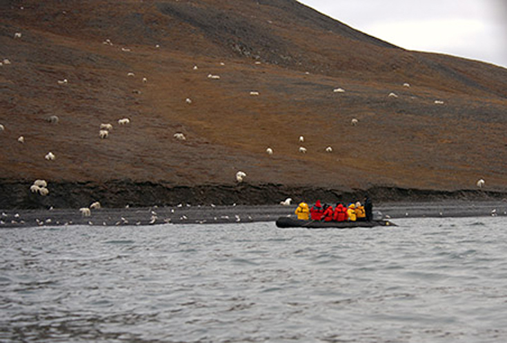 arkkdoouudusfgrgfdf6 arkkdoouudusfgrgfdf6