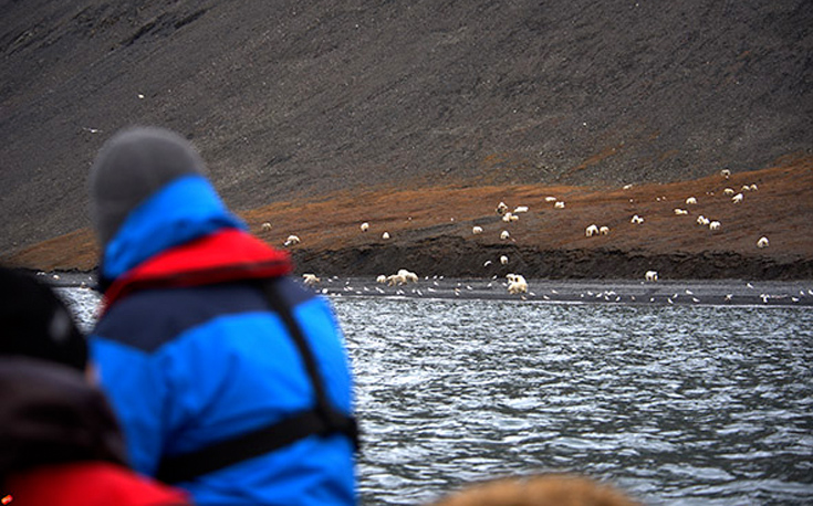 arkkdoouudusfgrgfdf7 arkkdoouudusfgrgfdf7