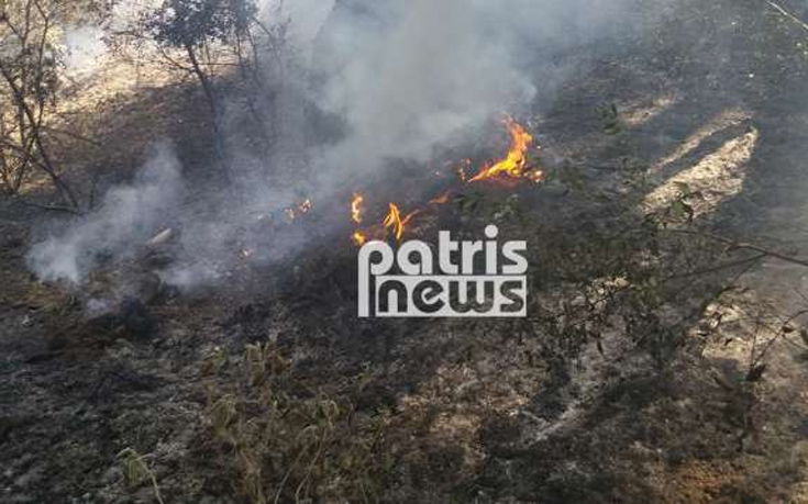 Δύο φωτιές και έρευνες για τους εμπρηστές στην Ηλεία