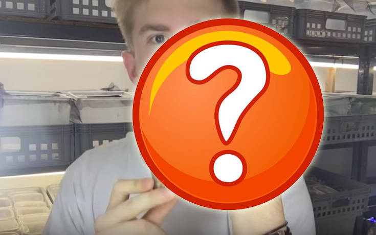 Γνωρίστε ένα σαλιγκάρι-γίγας