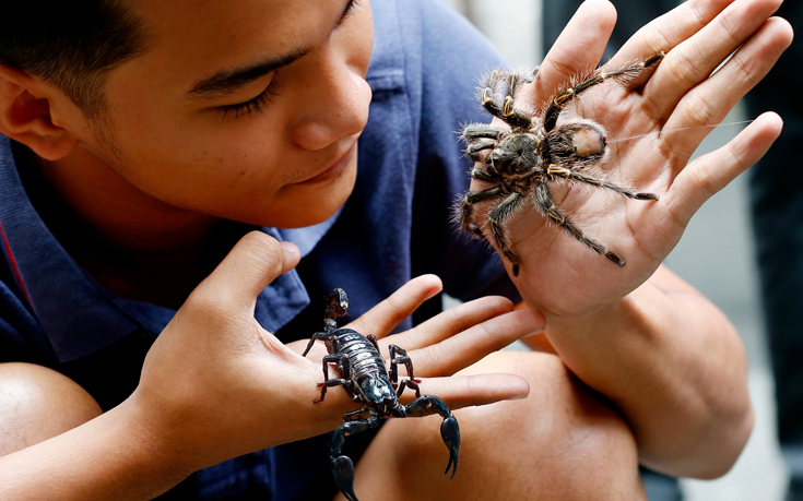Αν φοβάστε τις αράχνες, μάλλον φταίνε… οι γονείς σας