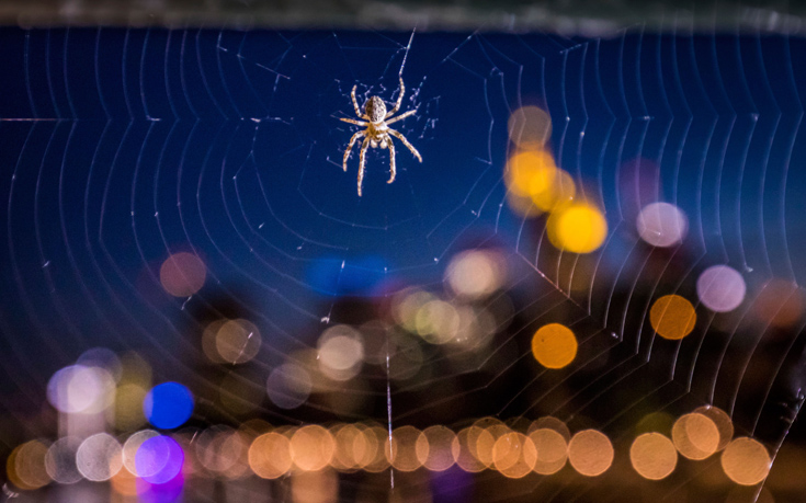 fhioisohd2 fhioisohd2