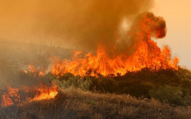 Κάηκε ζωντανός στην προσπάθειά του να κάψει κλαδιά
