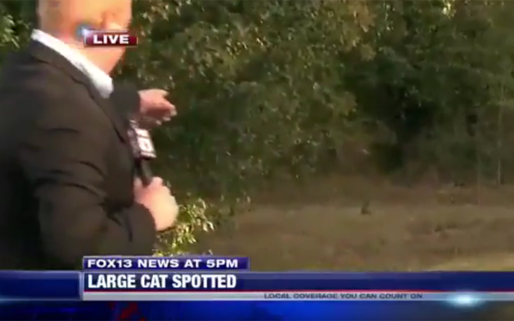 foidfhdosi2 foidfhdosi2