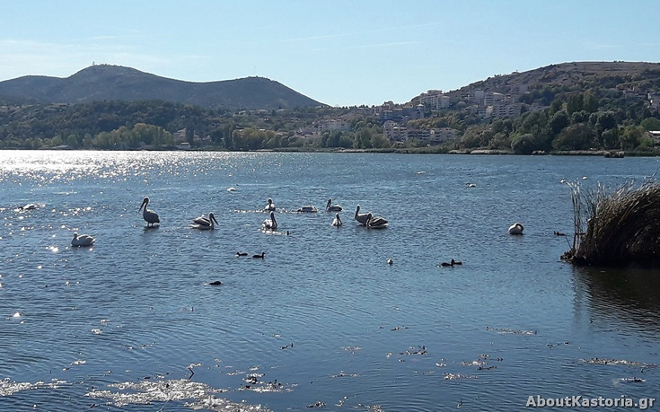 imansdajh10 imansdajh10