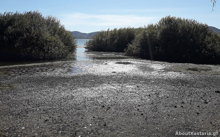 imansdajh3 imansdajh3