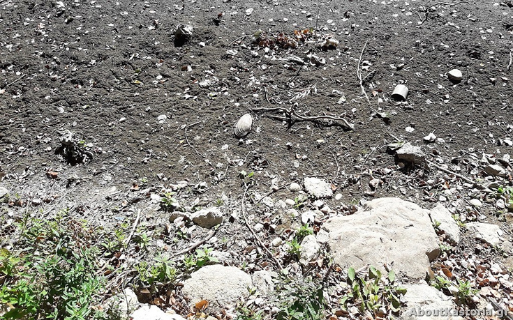 imansdajh4 imansdajh4