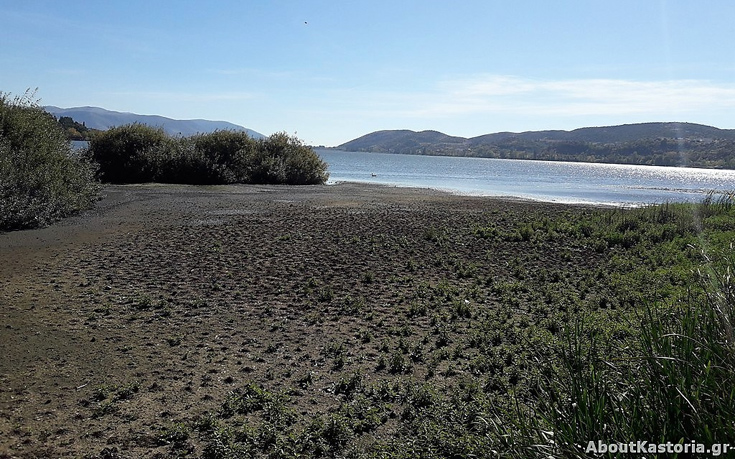 imansdajh6 imansdajh6