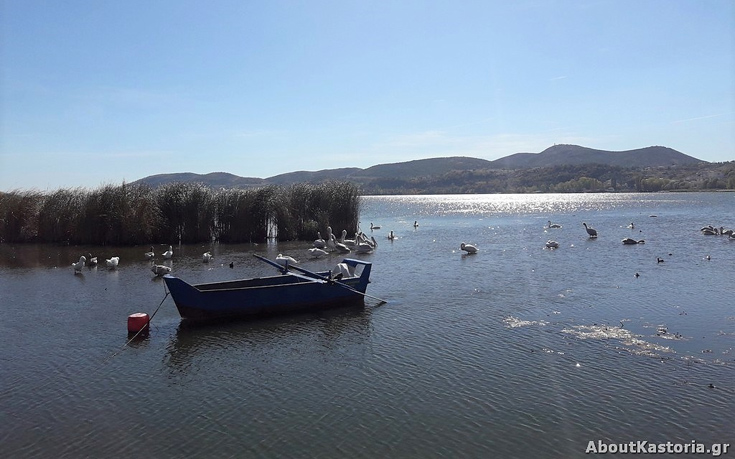 imansdajh8 imansdajh8