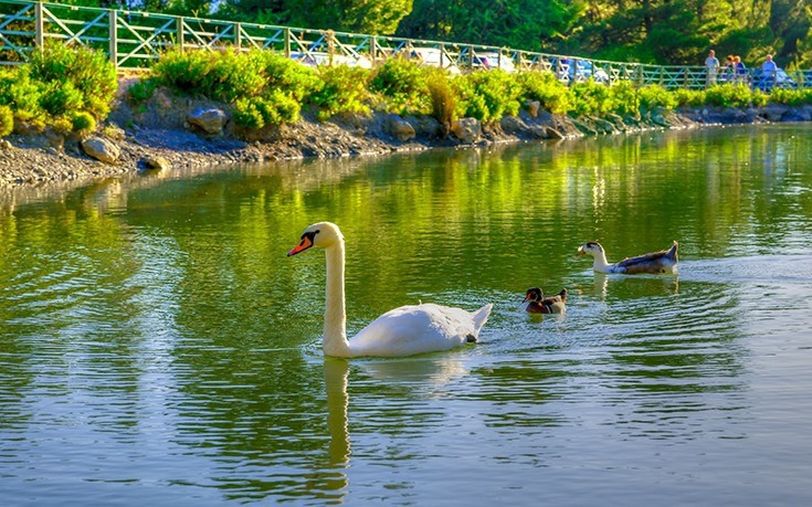 limnh_beletsi limnh_beletsi