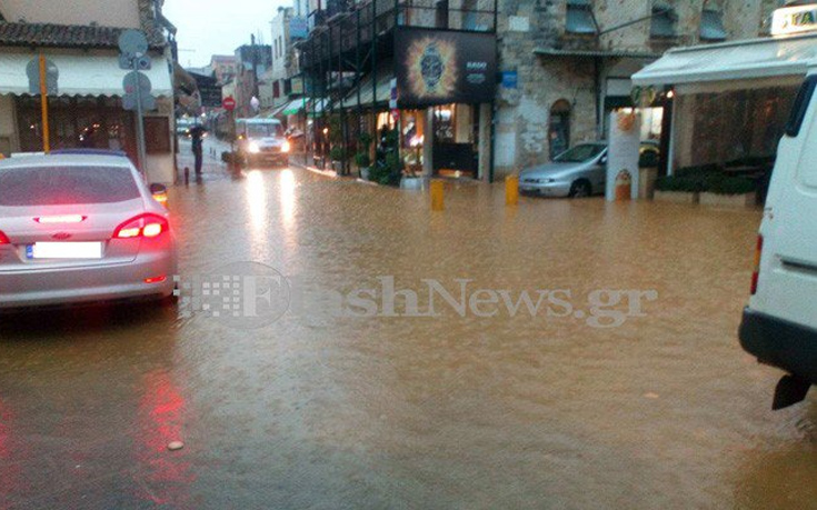 palsdaudm1 palsdaudm1