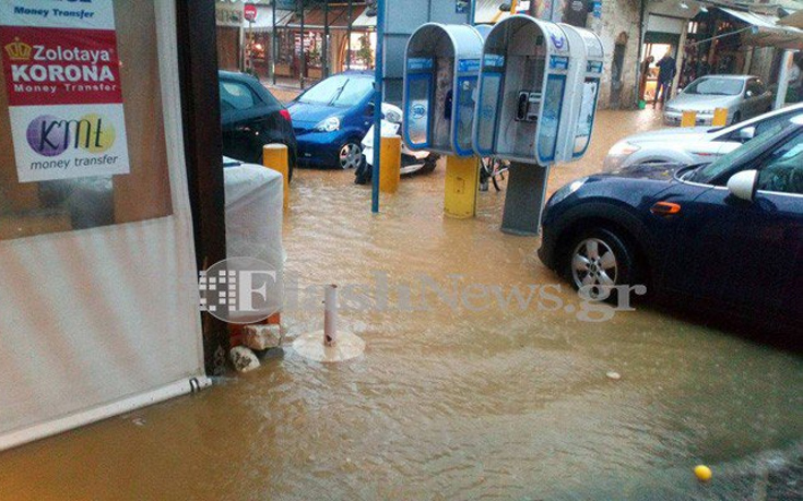 palsdaudm2 palsdaudm2