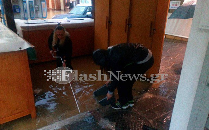 palsdaudm5 palsdaudm5