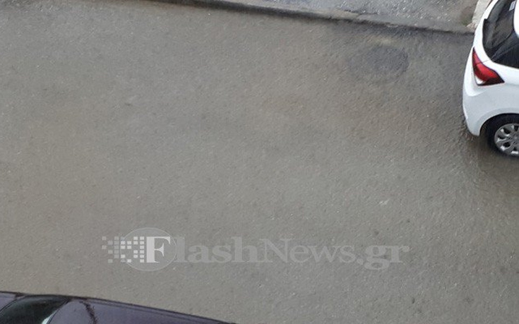 palsdaudm8 palsdaudm8