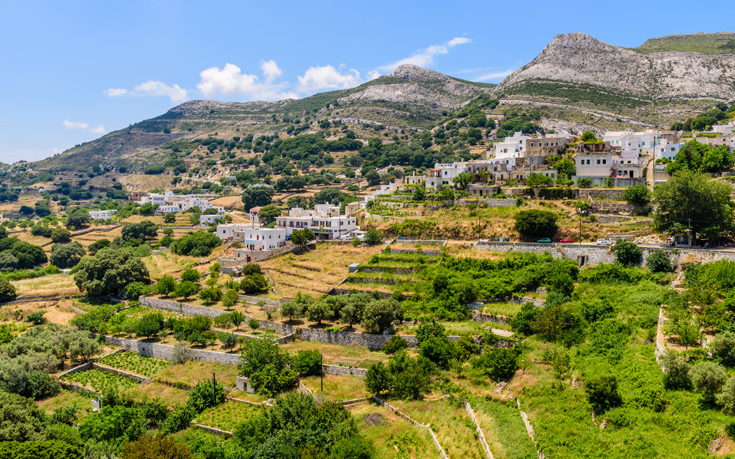 ΑΠΕΙΡΑΝΘΟΣ ΑΠΕΙΡΑΝΘΟΣ