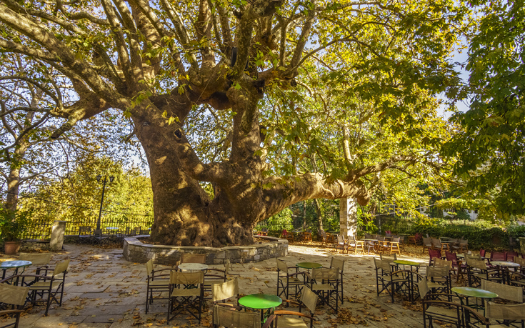 ΤΣΑΓΚΑΡΑΔΑ ΤΣΑΓΚΑΡΑΔΑ