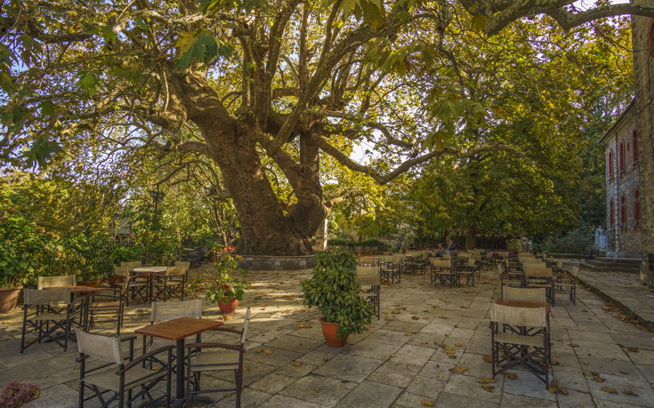 ΤΣΑΓΚΑΡΑΔΑ ΤΣΑΓΚΑΡΑΔΑ