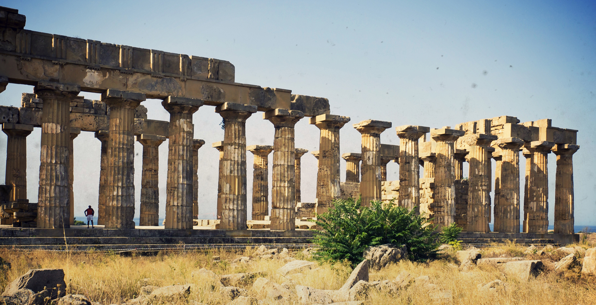 Το μυστηριώδες βότανο των αρχαίων Ελλήνων που κόστιζε το βάρος του σε ασήμι