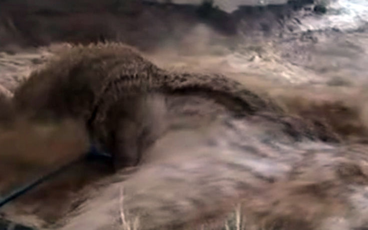 11_15_2017_07_48_43 11_15_2017_07_48_43