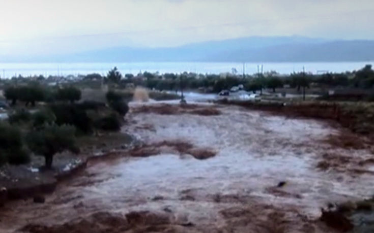 11_15_2017_07_51_47 11_15_2017_07_51_47