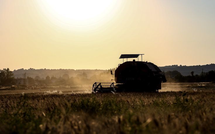 Την Πέμπτη οι πληρωμές του ΕΛΓΑ σε 1.329 αγρότες και κτηνοτρόφους