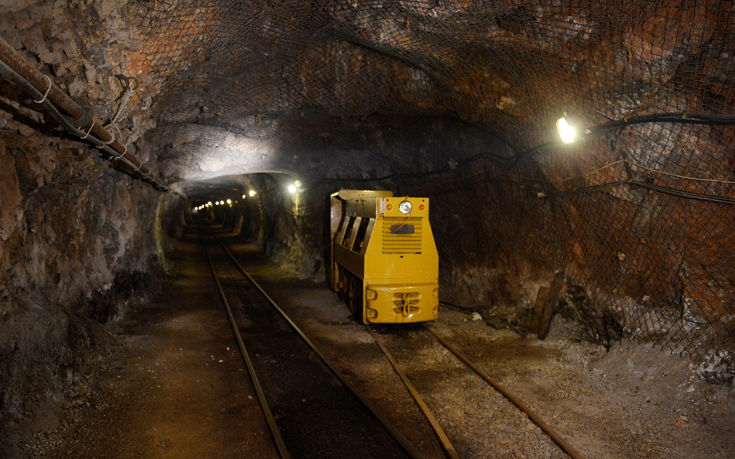 ΒΑΓΟΝΕΤΟ ΦΩΚΙΔΑ ΒΑΓΟΝΕΤΟ ΦΩΚΙΔΑ