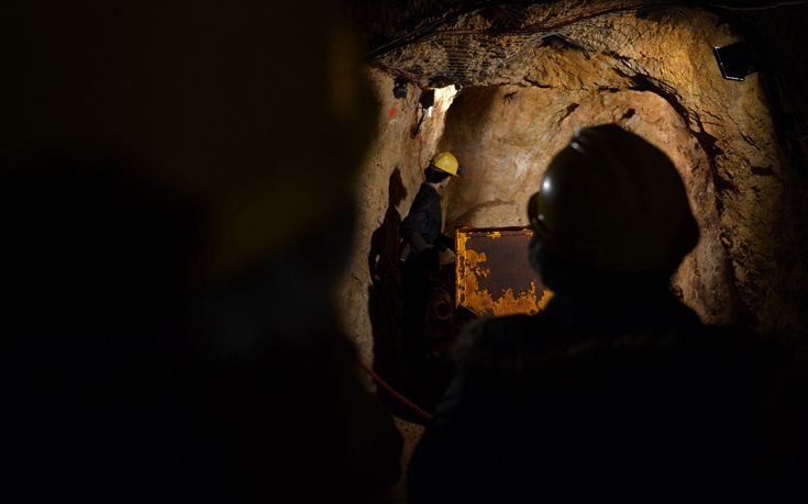 ΒΑΓΟΝΕΤΟ ΦΩΚΙΔΑ ΒΑΓΟΝΕΤΟ ΦΩΚΙΔΑ