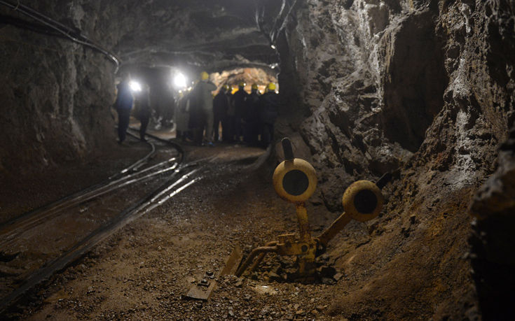 ΒΑΓΟΝΕΤΟ ΦΩΚΙΔΑ ΒΑΓΟΝΕΤΟ ΦΩΚΙΔΑ