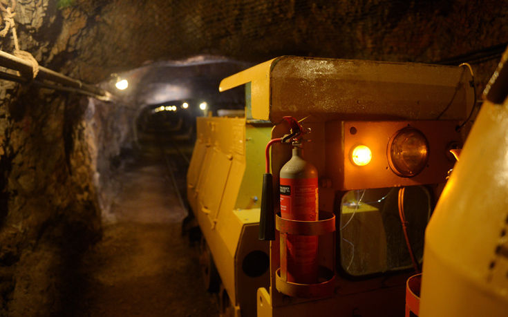 ΒΑΓΟΝΕΤΟ ΦΩΚΙΔΑ ΒΑΓΟΝΕΤΟ ΦΩΚΙΔΑ