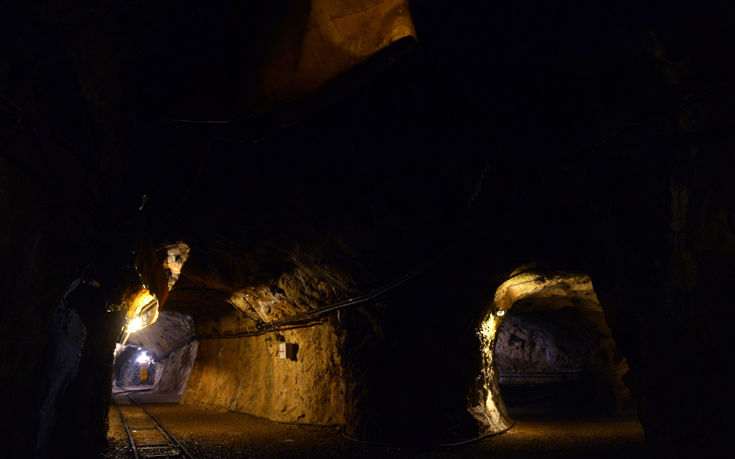 ΒΑΓΟΝΕΤΟ ΦΩΚΙΔΑ ΒΑΓΟΝΕΤΟ ΦΩΚΙΔΑ