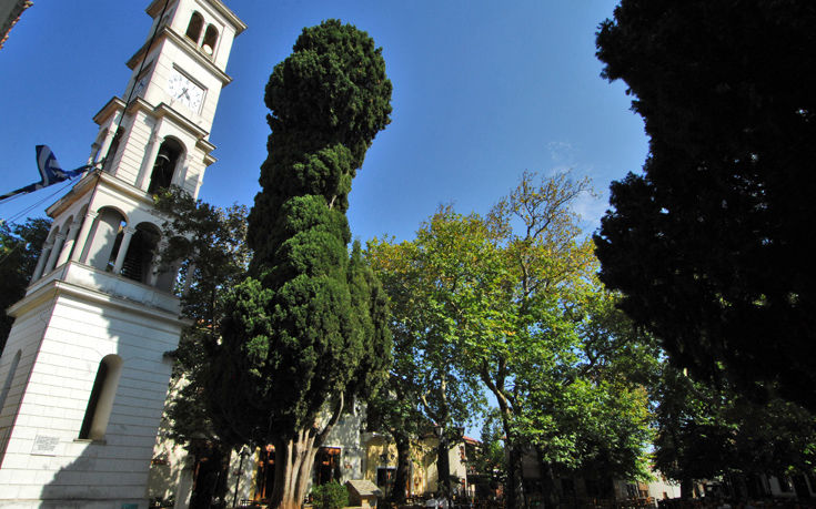 ΛΑΥΚΟΣ ΠΗΛΙΟ ΛΑΥΚΟΣ ΠΗΛΙΟ