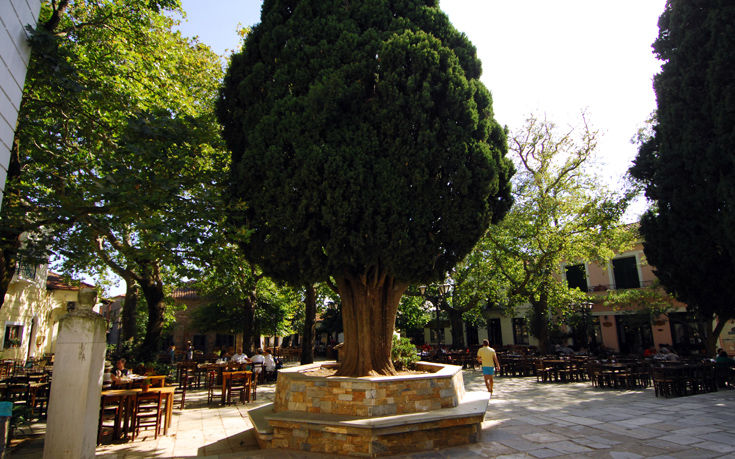 ΛΑΥΚΟΣ ΠΗΛΙΟ ΛΑΥΚΟΣ ΠΗΛΙΟ