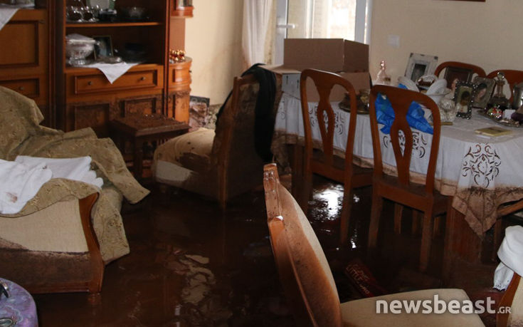 7516768096_IMG_5523 7516768096_IMG_5523