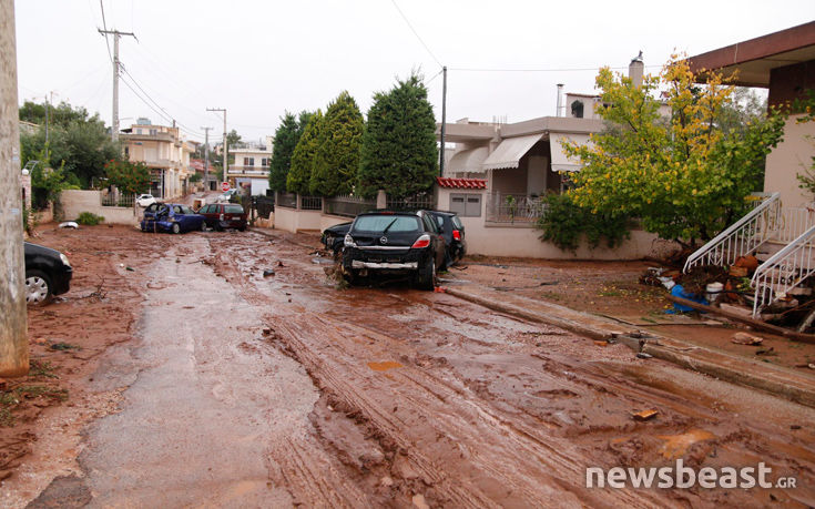 7516768096__MG_5492 7516768096__MG_5492