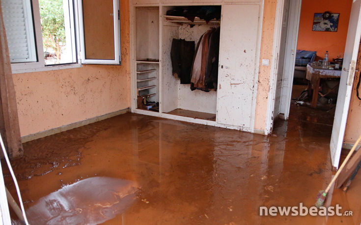 7516768096__MG_5515 7516768096__MG_5515