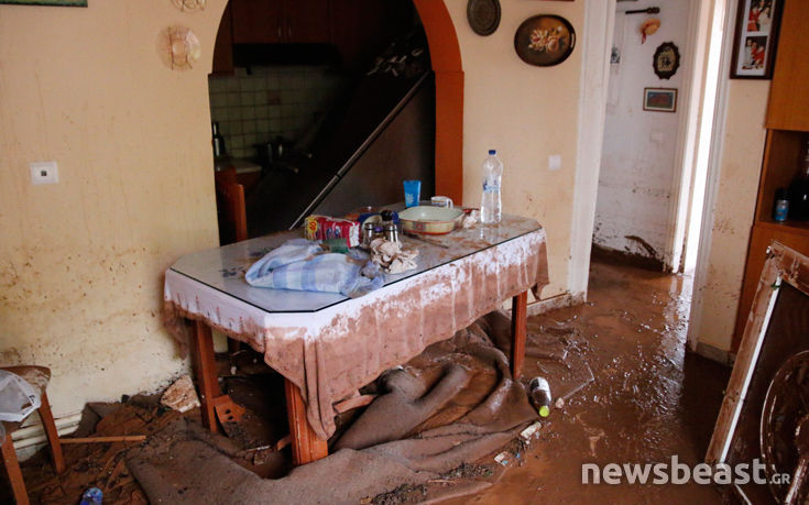 7516768096__MG_5517 7516768096__MG_5517