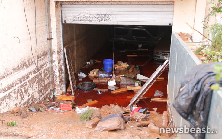 7516768096__MG_5539 7516768096__MG_5539