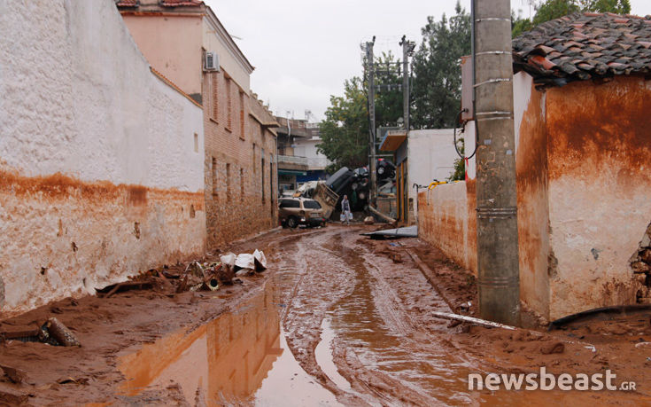 7516768096__MG_5588 7516768096__MG_5588