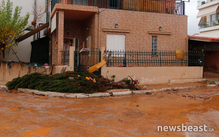 7516768096__MG_5602 7516768096__MG_5602