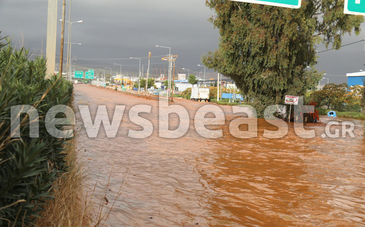 7583937120_IMG_0338 7583937120_IMG_0338