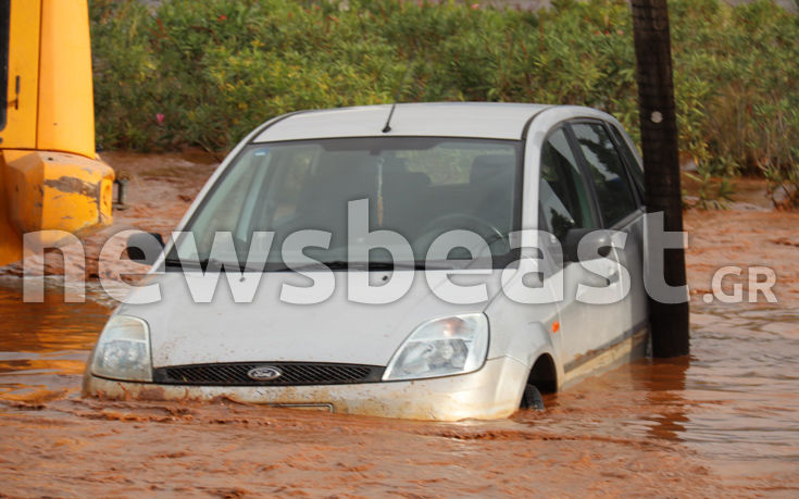 7583937120_IMG_0344 7583937120_IMG_0344