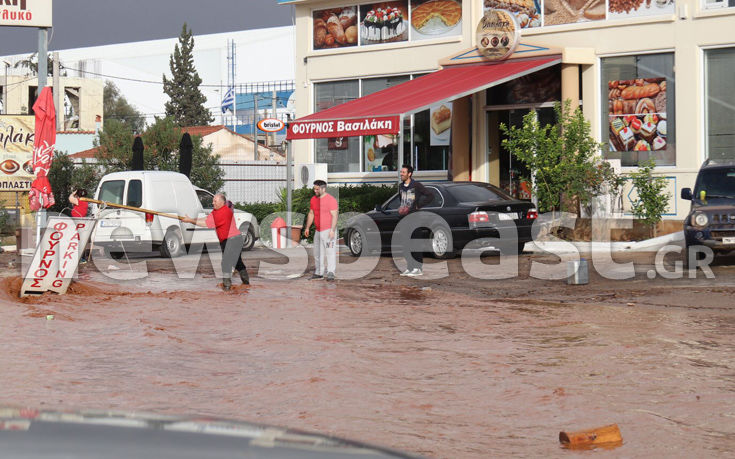 7583937120_IMG_0392 7583937120_IMG_0392